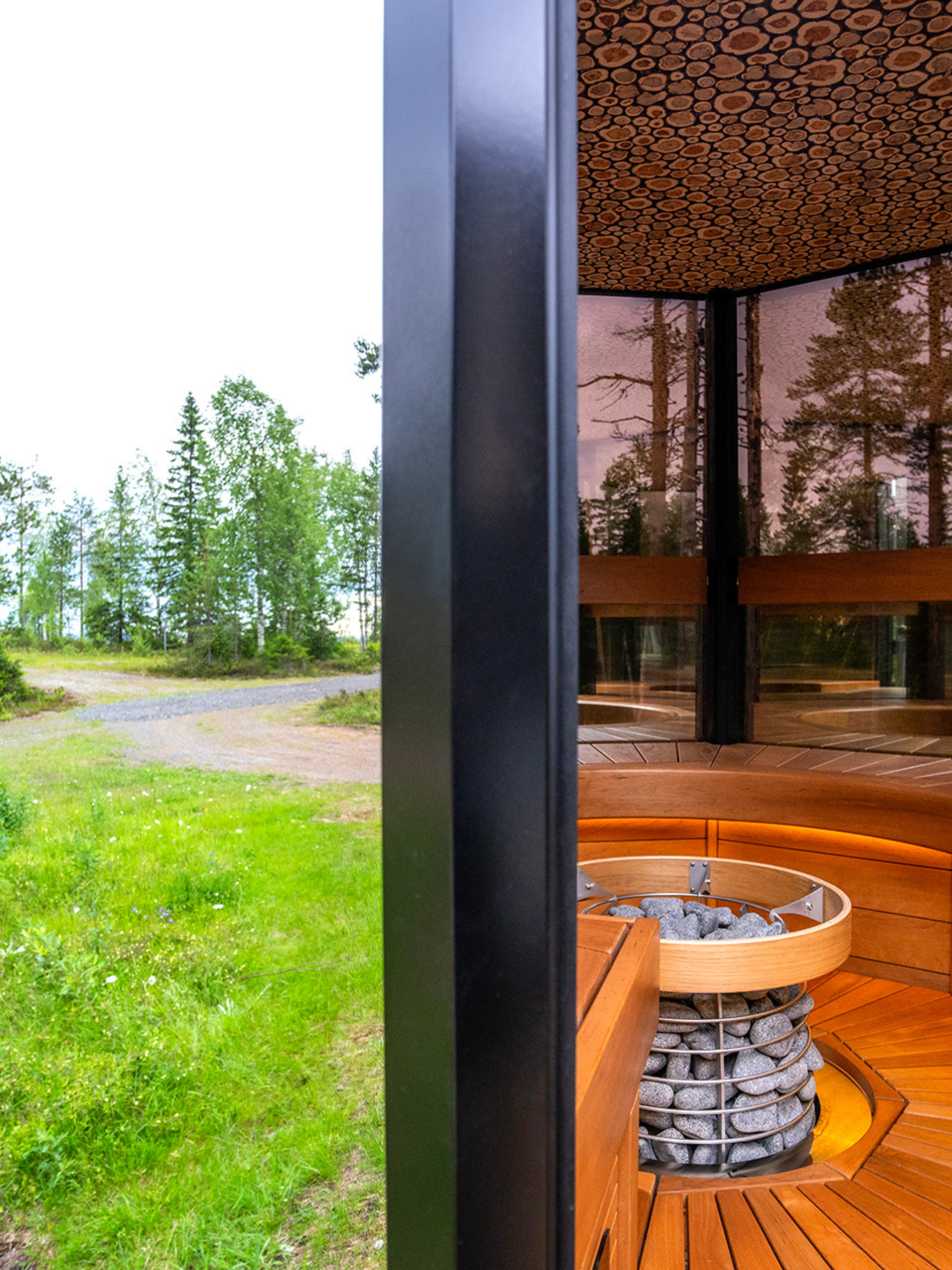 Modern outdoor sauna with wooden interior and glass walls overlooking a forest.